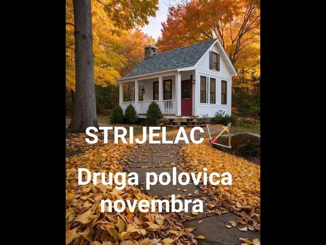 STRIJELAC  - druga polovina novembra 2024 ( emotivne ponude idu vam ususret )