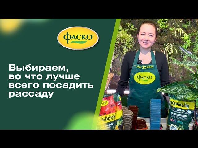 Выбираем емкости для посева рассады!