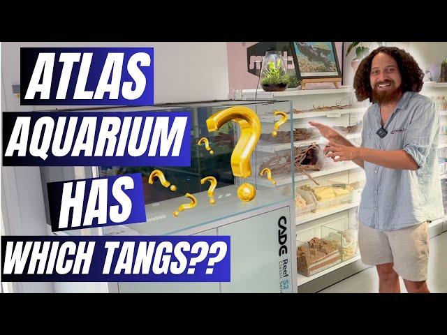 Atlas Aquarium has WHAT!?! First in Australia!!!