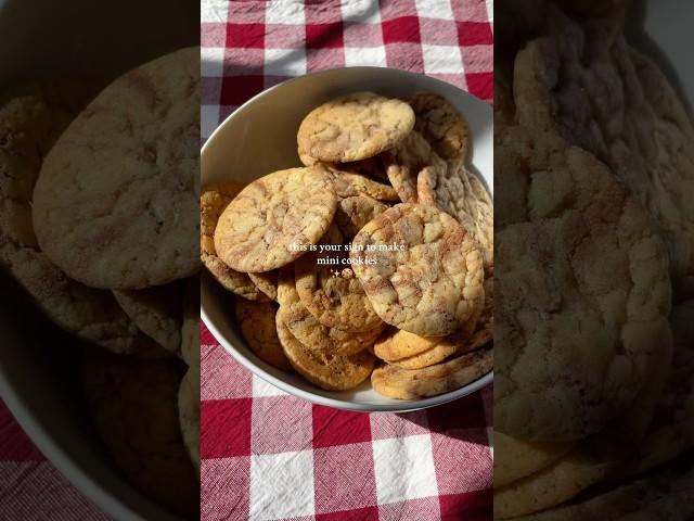 Will you be making mini cookies? #minicookies #cookies #baking #shorts