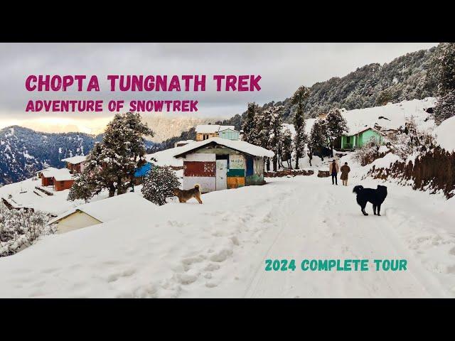 Chopta Tungnath Uttrakhand | Chopta to tungnath trek