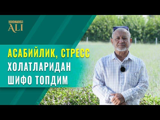 Асабийлик стрес ҳолатидан шифо топдим!