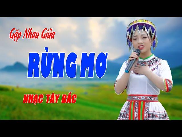 Liên Khúc Nhạc Tây Bắc Mở Nghe Mà Sướng Hết Cả Hai Cái Lỗ Tai Cực Kỳ Thư Giãn - Ngọc Khánh