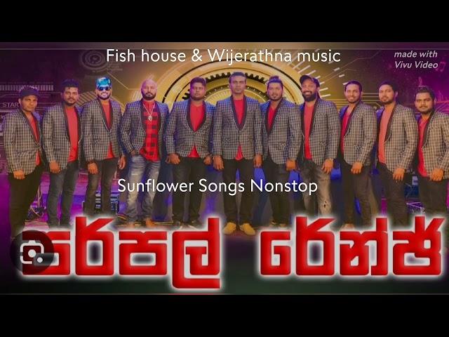 Sunflower Songs Nonstop - Purple Range