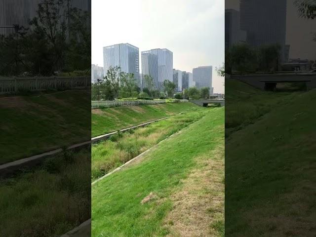 Grassy Canal in Fengtai District - Beijing