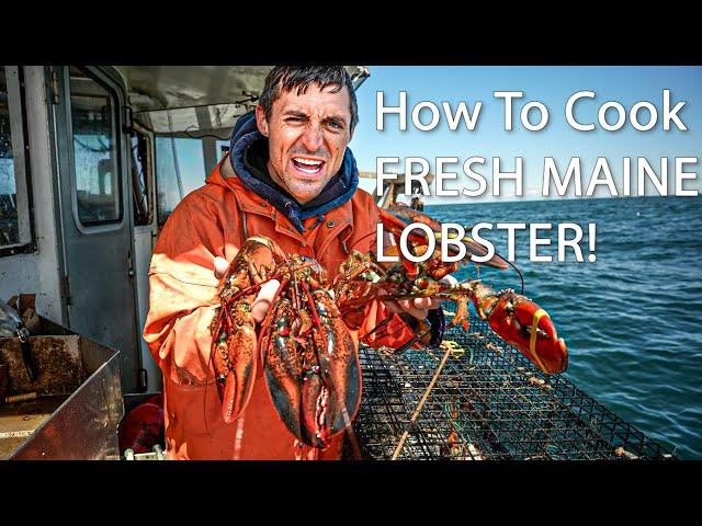 How to COOK Maine Lobster!