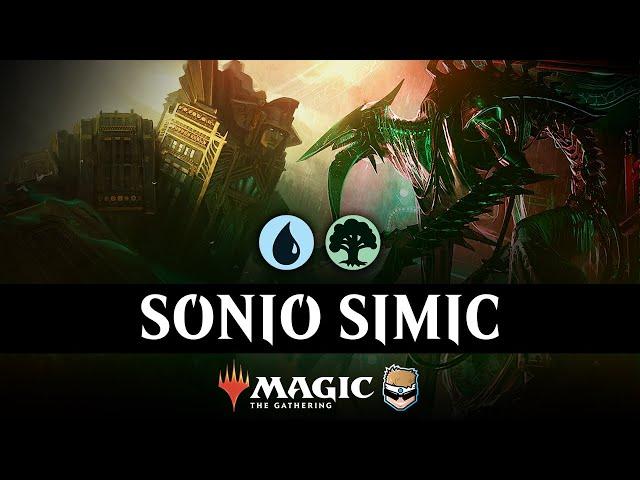 Did @Sonio-  break Simic Ramp? | Standard Event MTG Arena