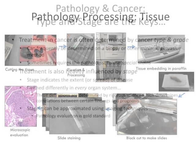 GRACEcast-127_CA-101_Intro to Molecular Pathology with Dr. Aisner, Part 1: What Do the Terms Mean?