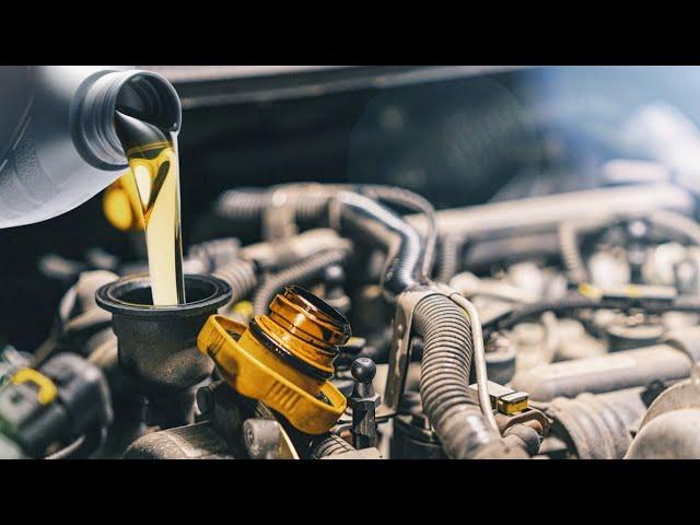 Ford Fusion Oil Change (COMPLETE GUIDE)