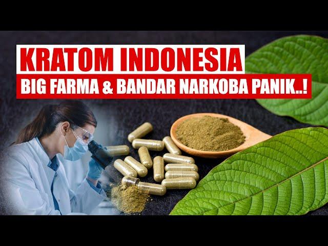 Belasan Juta Warga Amerika Kecanduan Kratom, Big Farma & Bandar Panik?