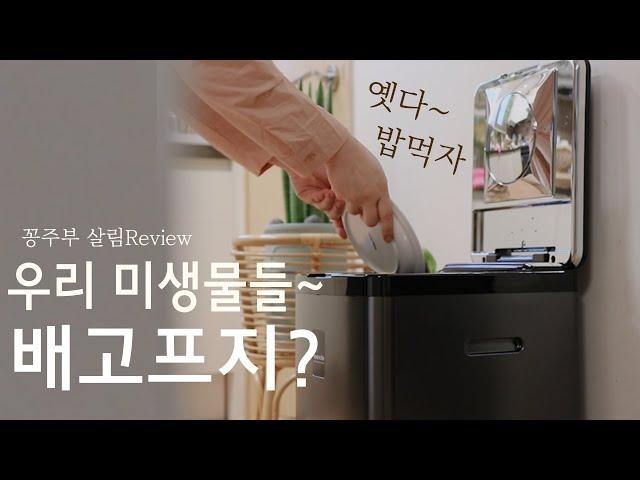 음식물쓰레기를 먹고 자라는 우리집 미생물 이야기 feat.꽁주부 살림리뷰