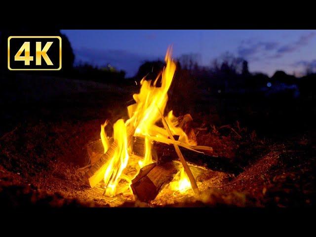 Relax with the sound of a 4K bonfire and flickering flames