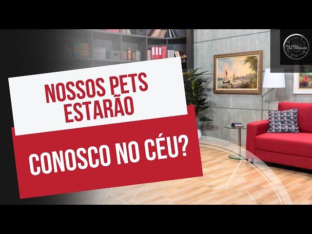 Nossos pets estarão conosco no céu?