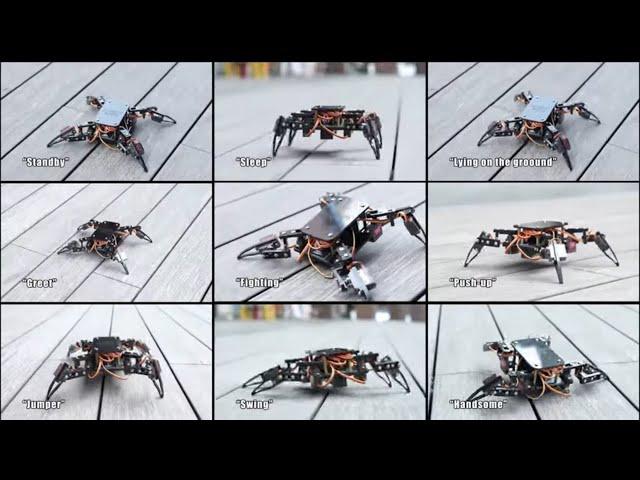 ACEBOTT QD020 ESP8266 Quadruped Bionic Spider Robot Kit With Arduino/ACECode (Scratch)