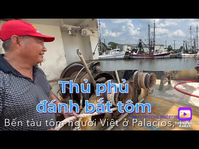 Thủ phủ đánh bắt tôm ở Mỹ - Palacios, Texas | Hơn 400 tàu sắt 4-5 triệu đô của người Việt -revised