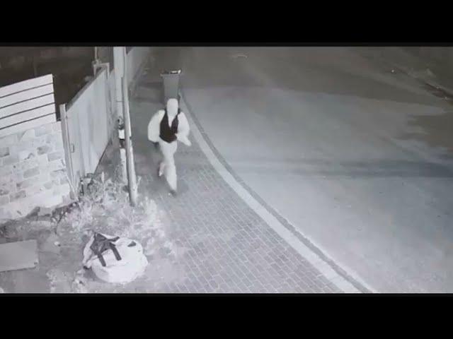 Organised crime on the rise in Israel • FRANCE 24 English