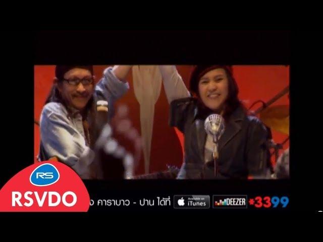 หนุ่มบาว สาวปาน : คาราบาว & ปาน [Official MV]