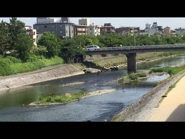 京都四条大橋の上から見た川辺 River from Kyoto Shijo Big Bridge