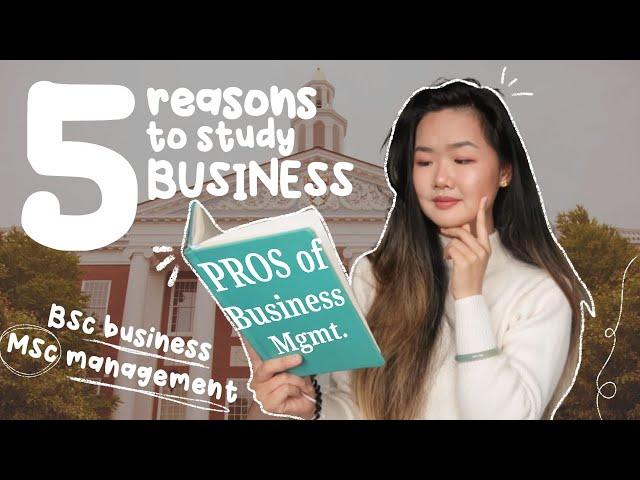 Why You SHOULD Study Business Management Degree