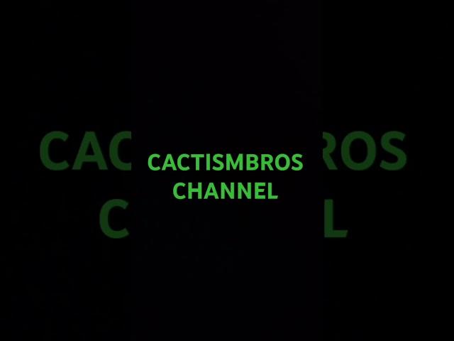 New Channel with the Cactism Bros