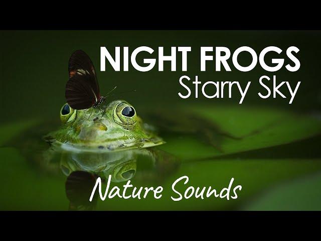 Frog Noises at Night, Calm Relaxing Sounds for Sleeping - White Noise
