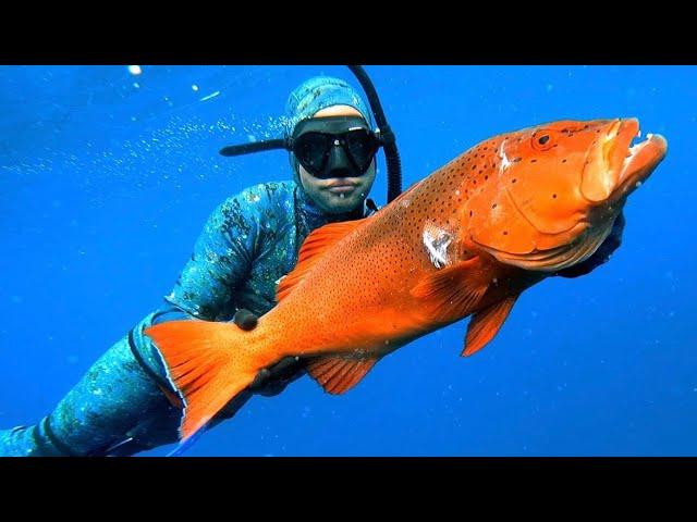 spearfishing and camping around exmouth