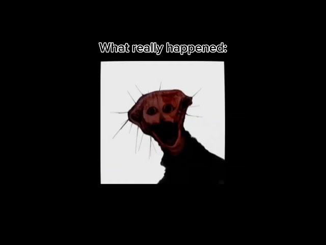 What really happened on march 13th 2003 #memes
