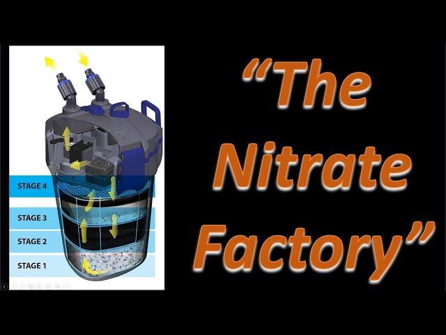 Keep Your Cannister Filter from Becomming a Nitrate Factory