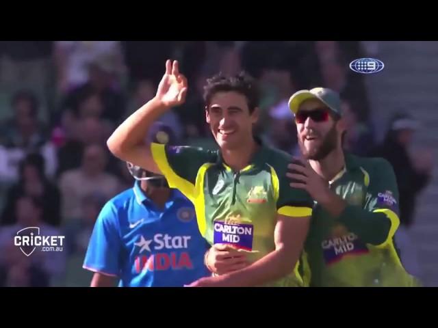 Mitchell Starc yorker compilation!!! (MUST WATCH)