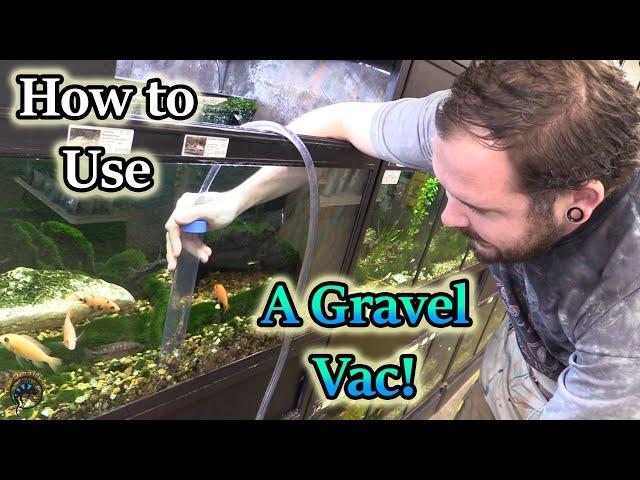 How to Use an Aqueon Siphon Vacuum Gravel Cleaner to Clean Your Aquarium!  