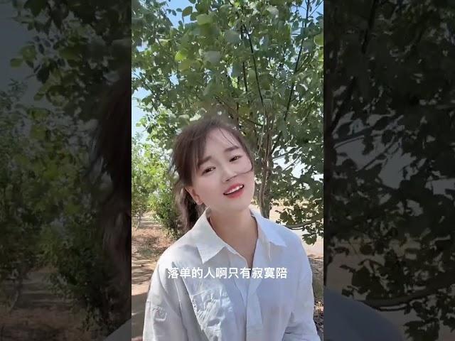 负心的人单飞，痴情的人伤悲，落单的人啊只有寂寞陪，曾经的誓言化成灰，让我痛彻心扉…#歌词句句入心