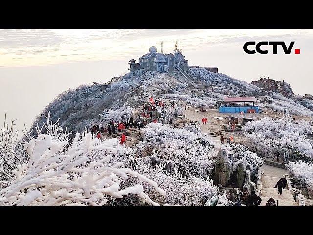 仙境模式开启！泰山之巅迎来2024年冬首场雾凇景观 | CCTV