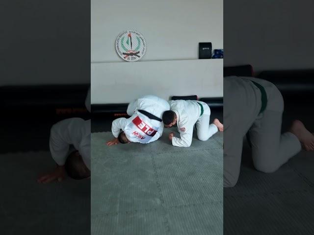 Single Leg to Omoplata  #mma #jiujitsu