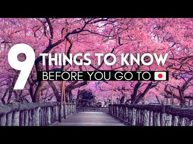 9 Things To Know Before Experiencing Cherry Blossom Season In Japan