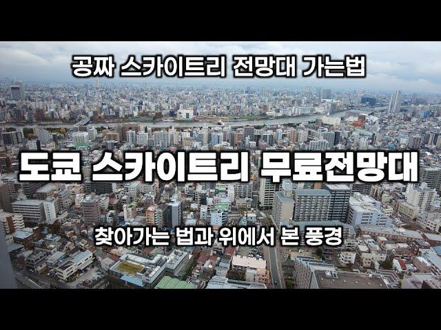 도쿄 스카이트리 무료 전망대 가보기