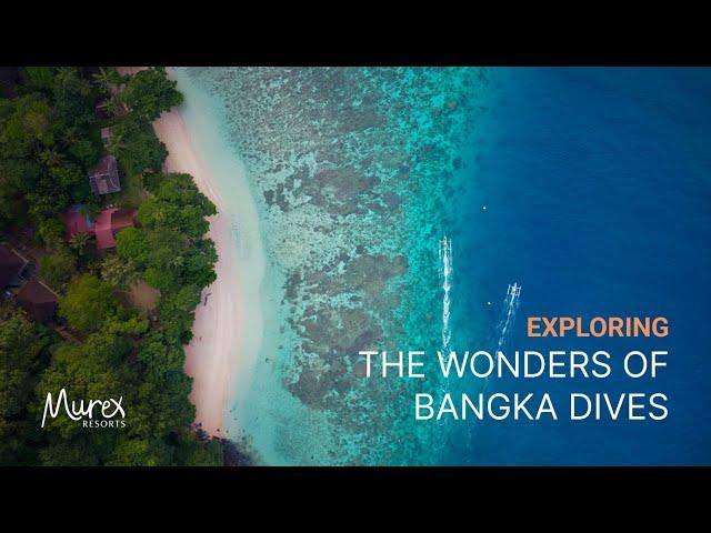 Discover The Hidden Gem on Bangka Island