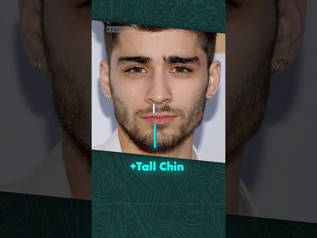 How attractive is Zayn Malik?