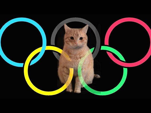 Olympic Games for Cats