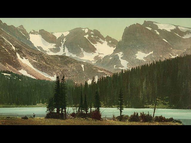 Colorado Experience: Forests of Change