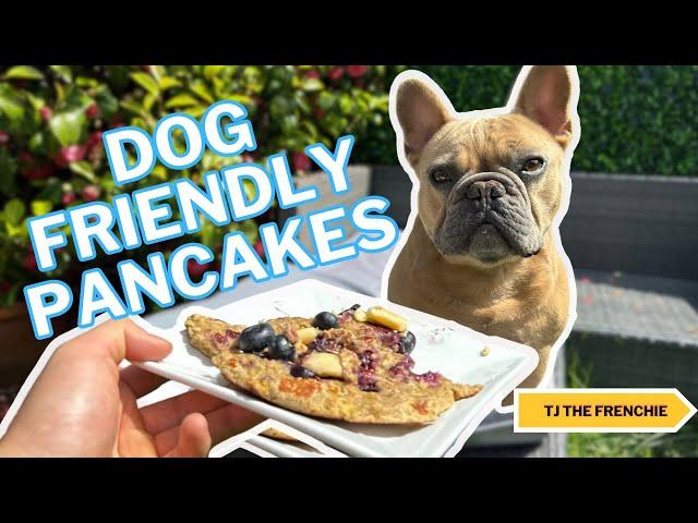 Dog Friendly Pancake Recipe  | Simple 2 Ingredient Pancake Recipe For Dogs | Tuesdays With Chef TJ