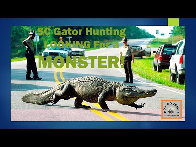 SC Gator Hunt | ADV Gourmet | 14ft. Monster...