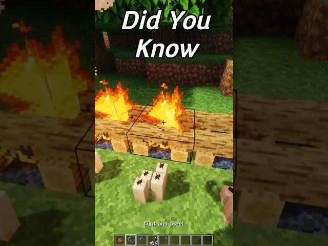 Did You Know! (Minecraft) | #shorts