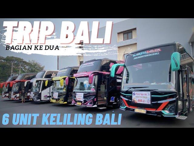 HARI TERAKHIR KELILING BALI ‼️ BEDA PO BUS TETAP 1 TUJUAN ‼️ TRIP TUNGGAL JAYA x RAFAEL KNP TRANS 