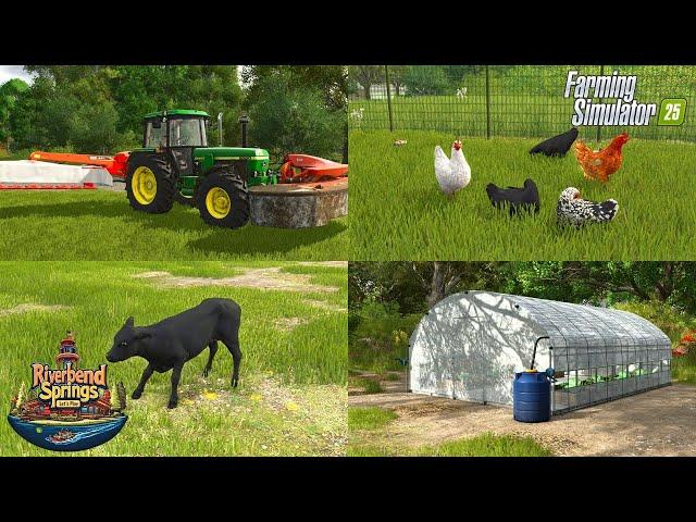 Long Grain Rice Harvest and Baby Animals | Farming Simulator 25 | Riverbend Spring Let's Play EP 7