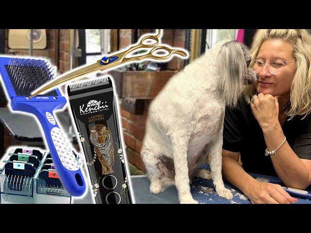 Minimal TOOLS you need to GROOM any DOG and what to buy