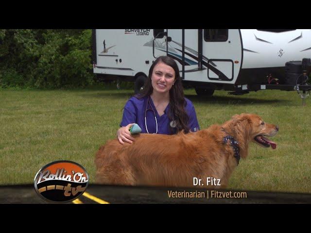 Paws on Board - Episode 2: Pet First Aid Kit