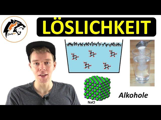 LÖSLICHKEIT erklärt – (Salze & Moleküle) | NEU