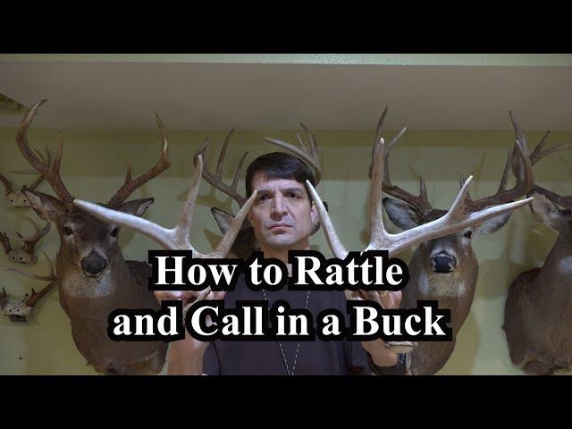 How to Rattle and Call in a Buck