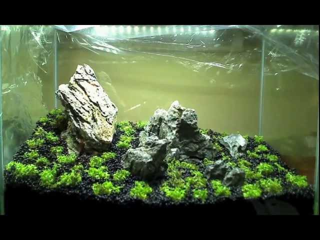 HC Dry Start Failure