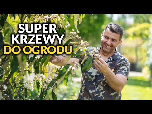 5 Krzewów, które odmienią Twój ogród w 2025!  Must-Have dla każdego ogrodnika